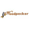 Woodpecker
