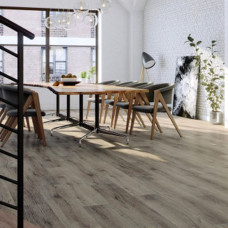 https://house-expert.com.ua/image/cache/catalog/arbiton-spc/116-argos-oak-2-46x46.jpg