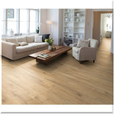https://house-expert.com.ua/image/cache/catalog/egger-2025/egger-classic-v4-el-2076-2-res-46x46.jpg