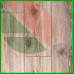 Ламинат Green Step Focus Дуб Картез 97296