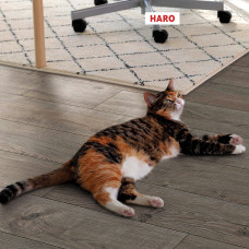 https://house-expert.com.ua/image/cache/catalog/haro-tritty100/haro-533121-oak-portland-grey-authentic-4-res-46x46.jpg
