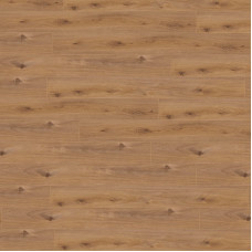 https://house-expert.com.ua/image/cache/catalog/kronotex-amazon/4169-2-46x46.jpg