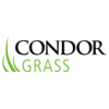 Condor