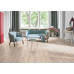 Ламинат Parador Basic 400 V0, арт. 1426510 Пиния 1х