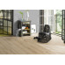 Ламинат Parador Classic 1050 V4, арт. 1744698 Дуб Лофт Пур