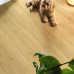 Ламинат Quick Step Signature Brushed oak natural SIG4763