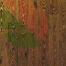 Ламинат Quick Step Eligna Metallic Cérusé Oak gold EL3466