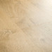 Ламинат Quick Step Eligna Venice oak natural EL3908