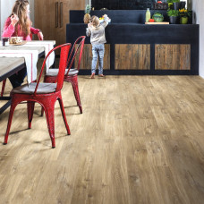 https://house-expert.com.ua/image/cache/catalog/quick-step-vinil/balance/bacl-40031-interior01-house-expert-com-ua-res-46x46.jpg
