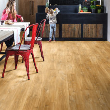 https://house-expert.com.ua/image/cache/catalog/quick-step-vinil/balance/bacl-40039-interior02-house-expert-com-ua-res-46x46.jpg