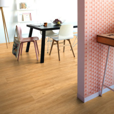 https://house-expert.com.ua/image/cache/catalog/quick-step-vinil/balance/bacl-40130-interior01-house-expert-com-ua-res-46x46.jpg