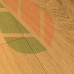 Виниловые полы Quick Step Pulse PUGP40098 Pure honey oak, клеевые