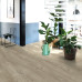 Виниловые полы Quick Step Pulse PUGP40105 Cotton oak warm grey, клеевые