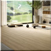 Вініловий SPC ламінат Parador Basic 5.3 Oak Regent beige, 1748828