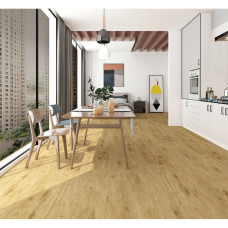 https://house-expert.com.ua/image/cache/catalog/tru-stone/fc-29149-2-int2-46x46.jpg