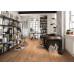 Виниловые полы Wineo (Винео) коллекция Wineo 600 Wood DB184W6 #WarmPlace