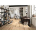 Виниловые полы Wineo (Винео) коллекция Wineo 600 Wood XL DB191W6 #BarcelonaLoft