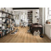 Вінілова підлога Wineo (Вінео) колекція Wineo 600 Wood XL DB193W6 #LondonLoft